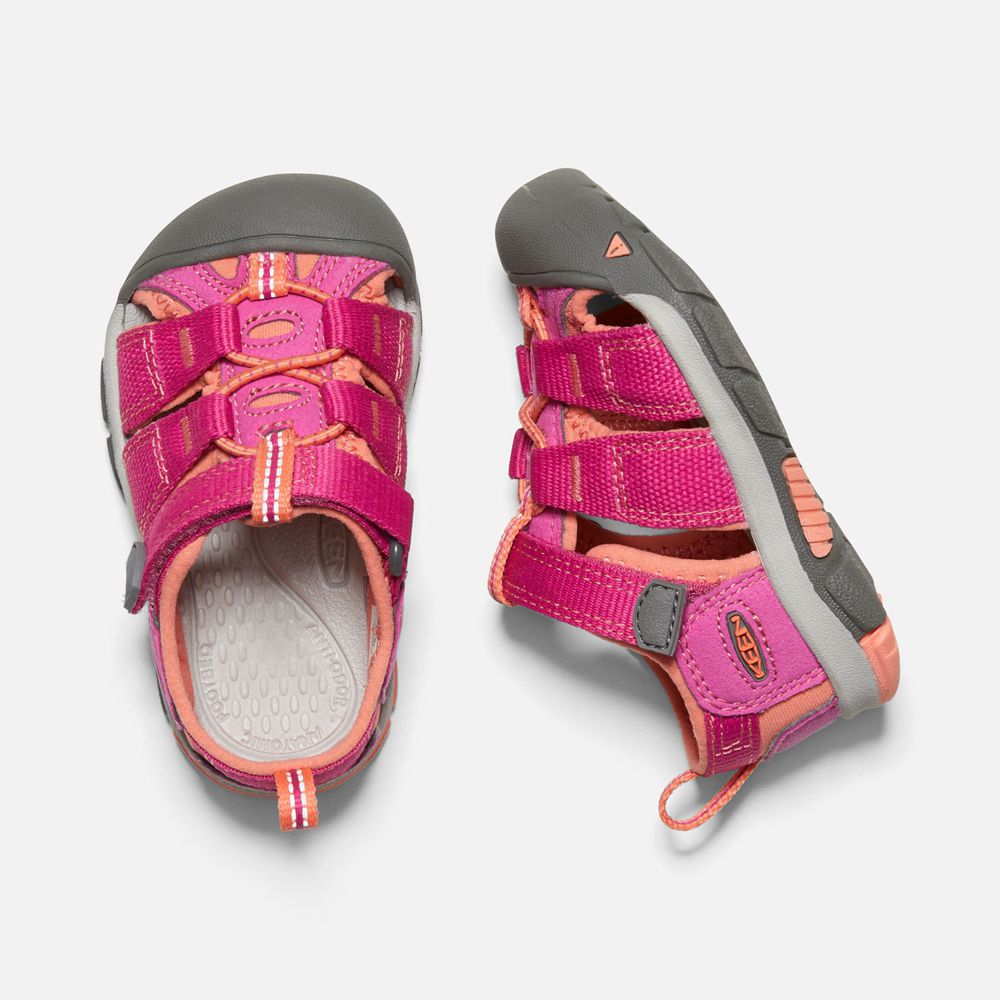 Sandalias Keen Mexico Rosas/Coral - Niños Newport H2 - QI4281367